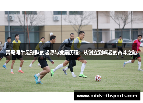 青岛海牛足球队的起源与发展历程：从创立到崛起的奋斗之路